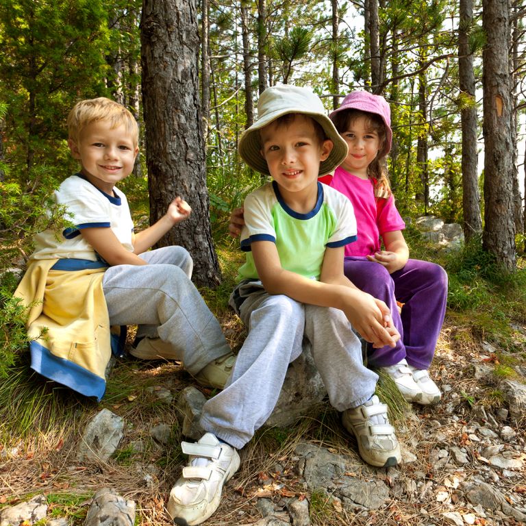 Ringsuche im Wald